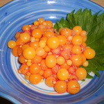 居酒屋たちばな - スッポンの卵！