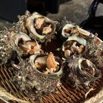 磯っこ商店 博多店 - 