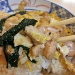 浅草 みどりや - 大きくて柔らかい鶏肉がゴロゴロ！