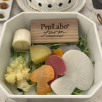 KIN SHARI - プロラボファームの有機野菜