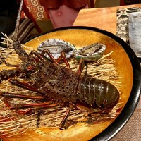 神楽坂 鉄板焼 向日葵 - 