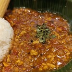 Spice curry 43 - チキンキーマ