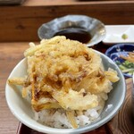 Tempura Shunsai Yuan - 