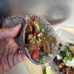 MIL TACOS - 