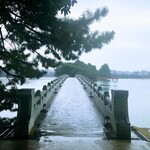 らるきい - 雨の大濠公園