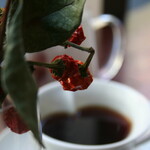 SHELTY CAFE - ブレンドコーヒーN0.5