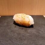 島津 - アオリイカ（佐島）