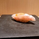 島津 - 白川（徳島）