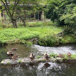 호시노야 카루이자와 - 