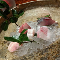 福島 もう利 - 三品目　お造り