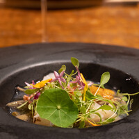 HAGI - 福島産の天然のじゅんさい