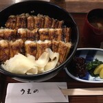 あなごめしうえの 宮島口本店 - あなごめし