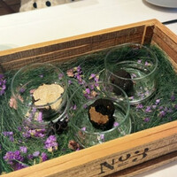 Terres de Truffes, Tokyo - 