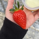 ハッピー農園 - 