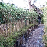 九つ井 本店 - 