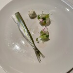 エスキス - サヨリ