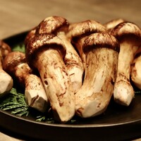 USHIGORO S. NISHIAZABU - 
