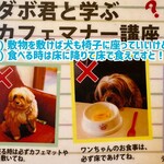 ドッグデプトカフェ - 右の写真、こんな意地悪なこと書いてるお店、初めてです。