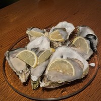 Seafood bar Ermitage 横浜鶴屋町店 - 