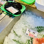 魚勝 青野水産 - わかめとちか