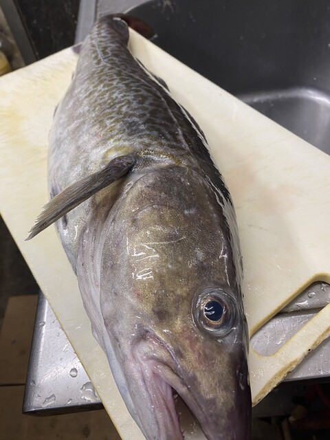 居酒屋ついで屋 - 矢本（居酒屋）の写真