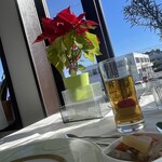 JiProign - 全天に雲なし、ウエルシア見放題^_^