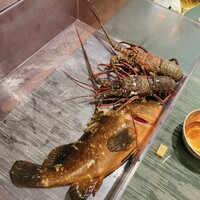 晁隆房 - 