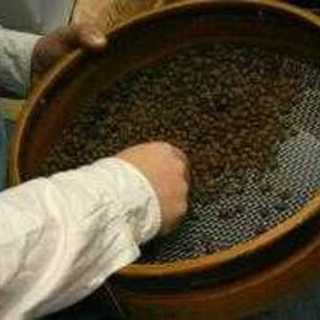 ねるどりっぷ珈琲 機屋_2