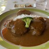 カレーハウスジブ - 料理写真:ヒレカツカレー 中辛 1700円。