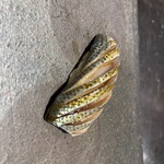 鮨 無垢/鮨 白銀 - 