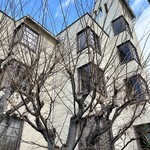 ボタニック コーヒー キョウト - 