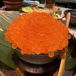 上物天然海鮮カツオ - 