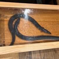 にょろ助 銀座 - 