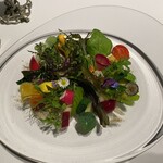 レフェルヴェソンス - 