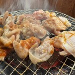 大衆焼肉ホルモン 溝の口 ひゃくてん - 