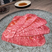 USHIGORO S. GINZA - 