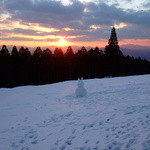BEAR - 雪のforest cafe BEAR 、冬の雪の日がオススメ！