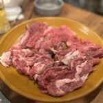 ヤマダモンゴル - 