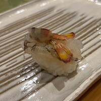 寿司割烹 黒潮 -  寿司割烹 黒潮 -
