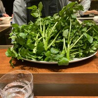 スガラボヴィー - 