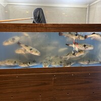 ふぐ料理 百福 池下店 - 