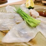 Shibuya Fugu Tatsu - 