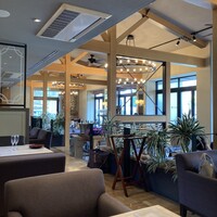 スミレオオサカ -  スミレオオサカ -