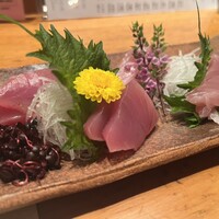 伊豆の旬 やんも 南青山店 - 