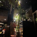 Bar LIBRE GINZA - 