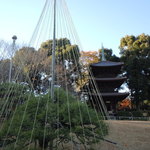 ホテル椿山荘東京 - 2013年12月　