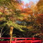 ホテル椿山荘東京 - 2013年12月　