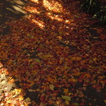 ホテル椿山荘東京 - 2013年12月　