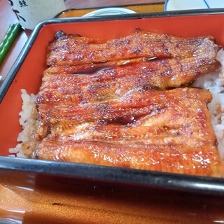 うなぎの天保_1