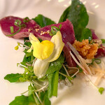 ベガーズハーレム - 